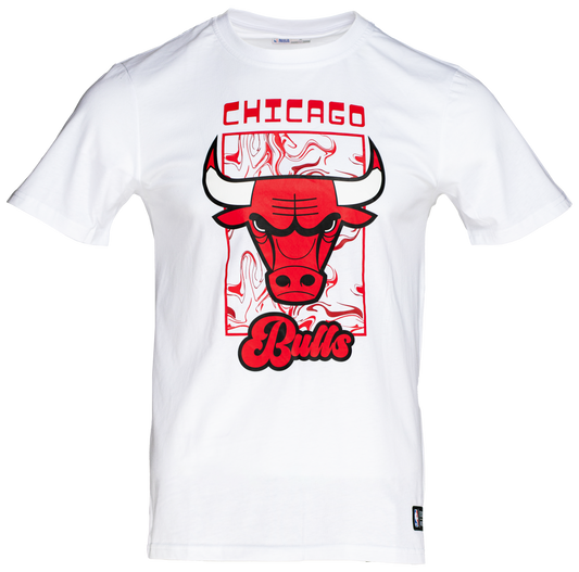 NBA CHICAGO BULLS T-SHIRT 523205